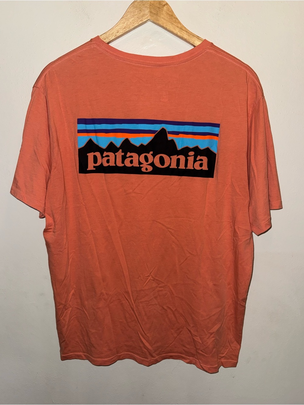 Patagonia P-6 Logo T-shirt Men’s Size Medium